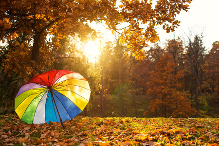 Colorful rainbow umbrella in park, autumn season concept card, no peopleの写真素材
