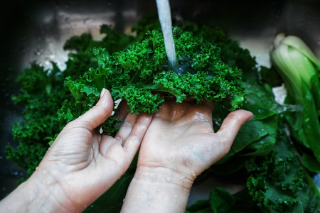 Woman washing in water in sink green kale cabbage leaves in kitchen, organic healthy foodの写真素材