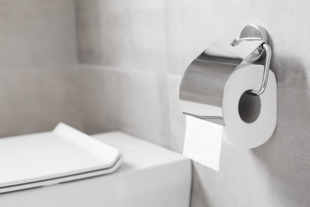 Roll of white toilet paper hanging on metal toilet-paper holder at restroom, nobody