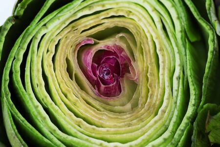 Fresh artichoke leaves texture and hearts, macroの写真素材