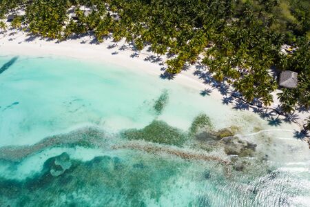 Aerial view from drone on tropical beach with palm trees and caribbean sea. Travel destinations. Summer vacationsの写真素材