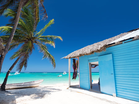 Typical caribbean house near Atlantic ocean beach with coconut palm tree. Blue and red exterior of...