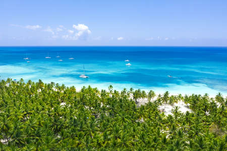 Aerial view from top on tropical island with coconut palm trees and speed boats floating in caribbean sea. Summer holidays. Travel destination. Saona Island. Dominican Republicの写真素材