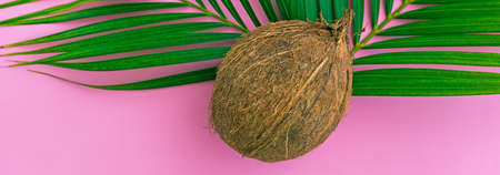 Flat lay composition with coconut and palm leaf on color pink background. Creative summer tropical cardの写真素材