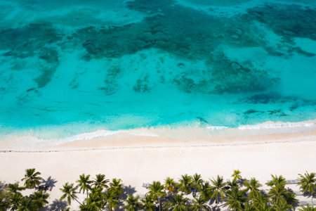 Aerial view from drone on tropical coast with coconut palm trees and speed boats floating in...