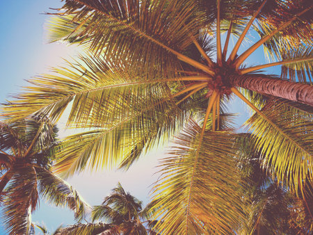 Aerial view from drone on tropical island with turquoise caribbean sea. Travel destination. Summer...