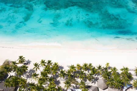 Aerial view from drone on tropical island with palm trees and caribbean sea. Travel destinations. Summer holidaysの写真素材