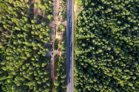 Aerial view from drone on asphalt road at the forest. Nobody