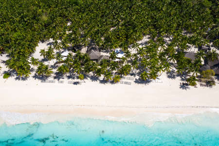 Aerial view from drone on tropical seashore with coconut palm trees and caribbean sea. Travel destinations. Summer vacationsの写真素材