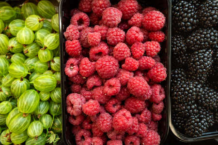A lot of gooseberry, blueberry and raspberry in box on sale at farms market. Top view. Food backgroundの写真素材