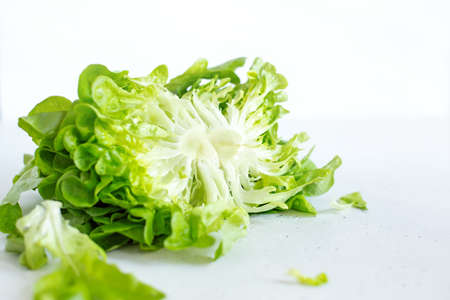 Half slice of green lettuce leaves on white background. Fresh butter head salad closeup. Selective focusの写真素材