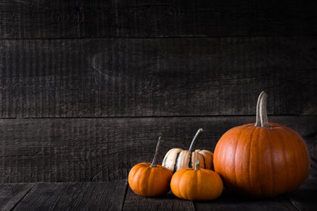 Ripe pumpkins on rustic wooden background. Autumn concept