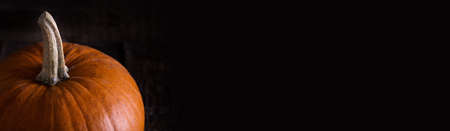 Ripe pumpkins on rustic wooden background. Autumn concept. Long bannerの写真素材