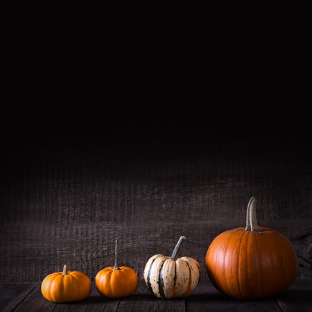 Halloween pumpkin on wooden background. Autumn background