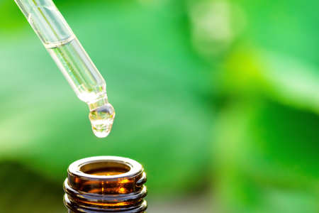 Drop of essential oil falls from a pipette into a cosmetic bottle, macro. Herbal essence dropping to dark glass on natural backgroundの写真素材