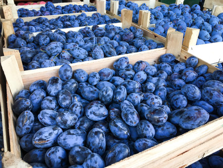 Group of ripe and fresh plum at farmers market. Food shop with vegetables. Closeup and nobody....