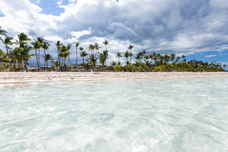 Punta Cana beach with resorts, palm trees and crystal water ocean. Travel destinations Dominican Republic, caribbean vacations, copy spaceの写真素材