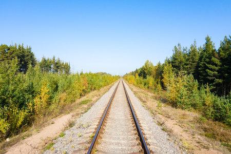 Railway through autumn forest. Aerial view from droneの写真素材
