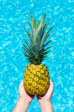 Pineapple in hand on swimming pool background. Holding tropical fruit in swimpool at sunny day. Summer paradise concept card.の写真素材
