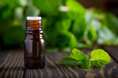 Blank amber bottle with essential oil Peppermint with fresh mint leaves, herbal aroma in in dark glass jar. Aromatherapy conceptの写真素材