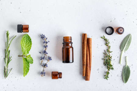 Floral and herbal sprigs of lavender, thyme, mint leaves and cinnamon, flat lay on neutral background. Ingredients and amber bottles for essential oilsの写真素材
