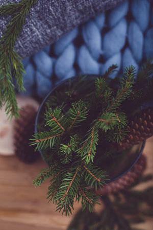 Natural cozy decoration of home interior. Biophilia and eco friendly lifestyle conceptの写真素材