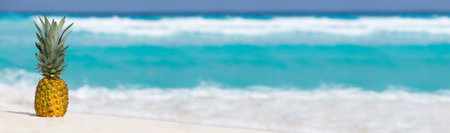 Pineapple fruit on sand against turquoise caribbean sea water. Tropical summer vacation. Long bannerの写真素材