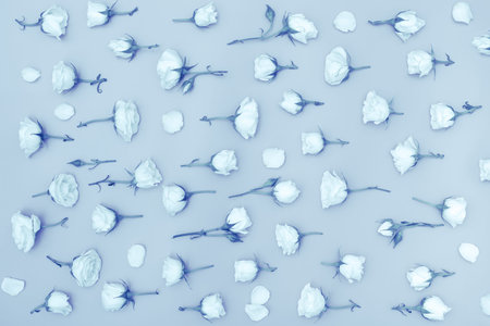 Botanical floral monochrome backgrounds, roses flat lay, flower-filled p`attern.