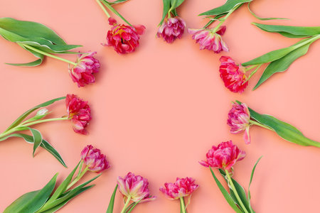 Botanical floral modern backgrounds, flower-filled frame with pink tulips, copy space