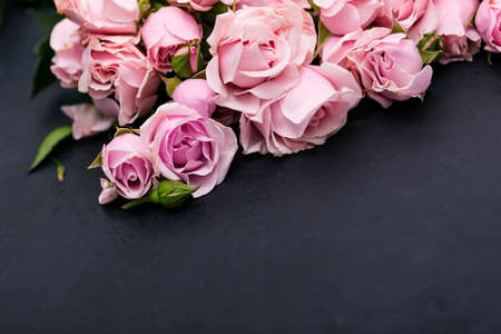 Floral framed composition with pink roses on black background, copyspace. Modern botanical visual, top viewの写真素材
