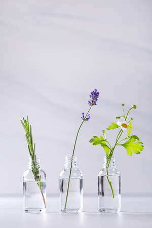 Transparent bottles with fresh herbs for aromatherapy. Aromatic sprigs of lavender, rosemary and chamomile for essential oils in jars on marble backgroundの写真素材