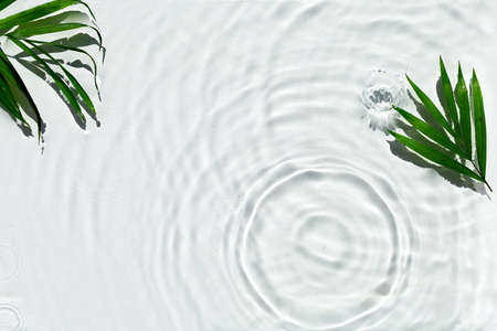 Abstract water texture, surface with drops, rings and ripple decorated palm leaves. Flat lay, top view, spa and wellness background with copy spaceの写真素材
