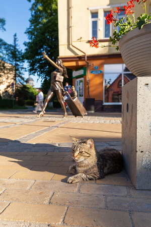 Relaxing cat on background of sculpture resort girl with a suitcase and a kitty in Zelenogradsk city, Kaliningrad regionの写真素材