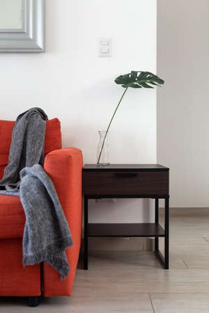 Contemporary interior with red sofa and monstera leaf on bedside tableの写真素材