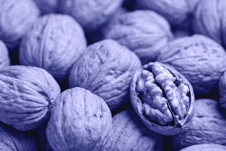 Whole Walnut closeup. Nuts background, nobody. Very Peri - color of the year 2022の写真素材