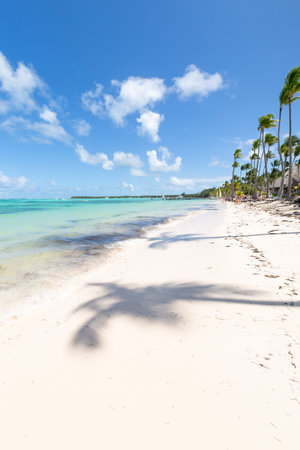 Bavaro beach in sunny day with calm Atlantic ocean and white sandy beach, Dominican republicの写真素材
