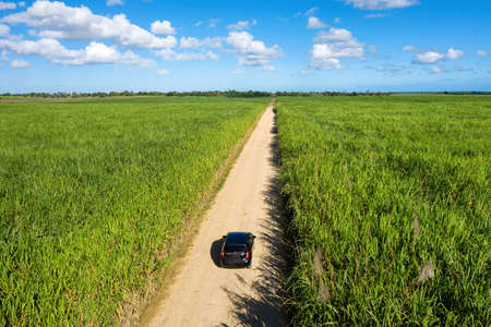Car is going on the road through sugar cane fields plantation at caribbean countryside. Air top viewの写真素材