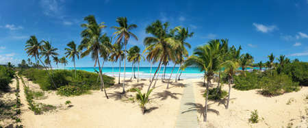 Pristine and caribbean shore with coconut palm trees and turquoise sea. tropical landscape. Macao beach. Dominican Republic. Aerial viewの写真素材