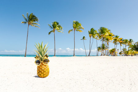 Funny pineapple in sunglasses at Juanillo beach with tall coconut palms, Dominican Republic. luxury...