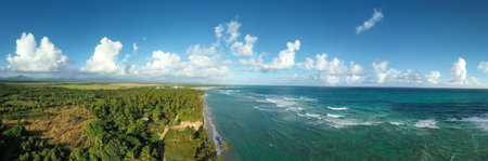 Wild tropical coastline with coconut palm trees and turquoise caribbean sea. beautiful travel destination. panorama view from droneの写真素材