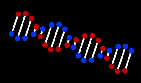 DNA spiral structure on black background. illustration 2dの写真素材