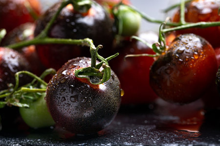 Crop of ripe indigo tomato on dark slate, closeup of fresh whole black cherry kumatoの写真素材
