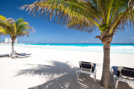 Two beach beds under palm tree on caribbean beachfrontの写真素材