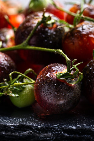 Macro of whole wet black cherry tomato, fresh picked indigo kumato, closeup and shallow depthの写真素材
