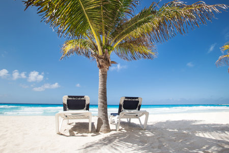 Two beach beds under palm tree on caribbean beachfrontの写真素材