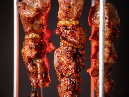 Cooking pork kebab in electrical barbecue on skewers. Nobodyの写真素材