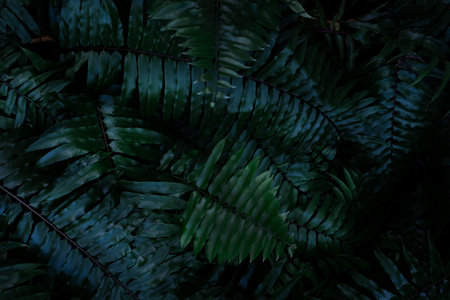 Jungle tropical foliage background. green lush pattern texture cardの写真素材