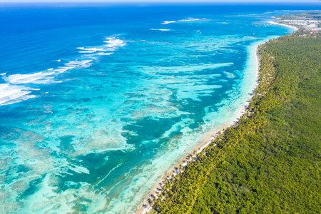 Bounty and pristine tropical shore with coconut palm trees and turquoise caribbean sea. beautiful scenery. Aerial view from droneの写真素材