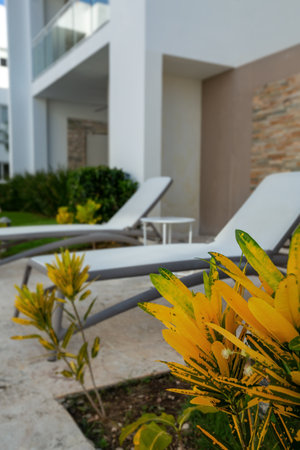 Backyard with swimming pool in typical modern caribbean residence, no peopleの写真素材