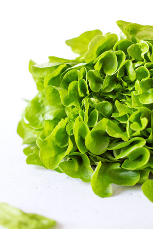 Half slice of green lettuce leaves on white background. Fresh butter head salad closeup. selective focusの写真素材